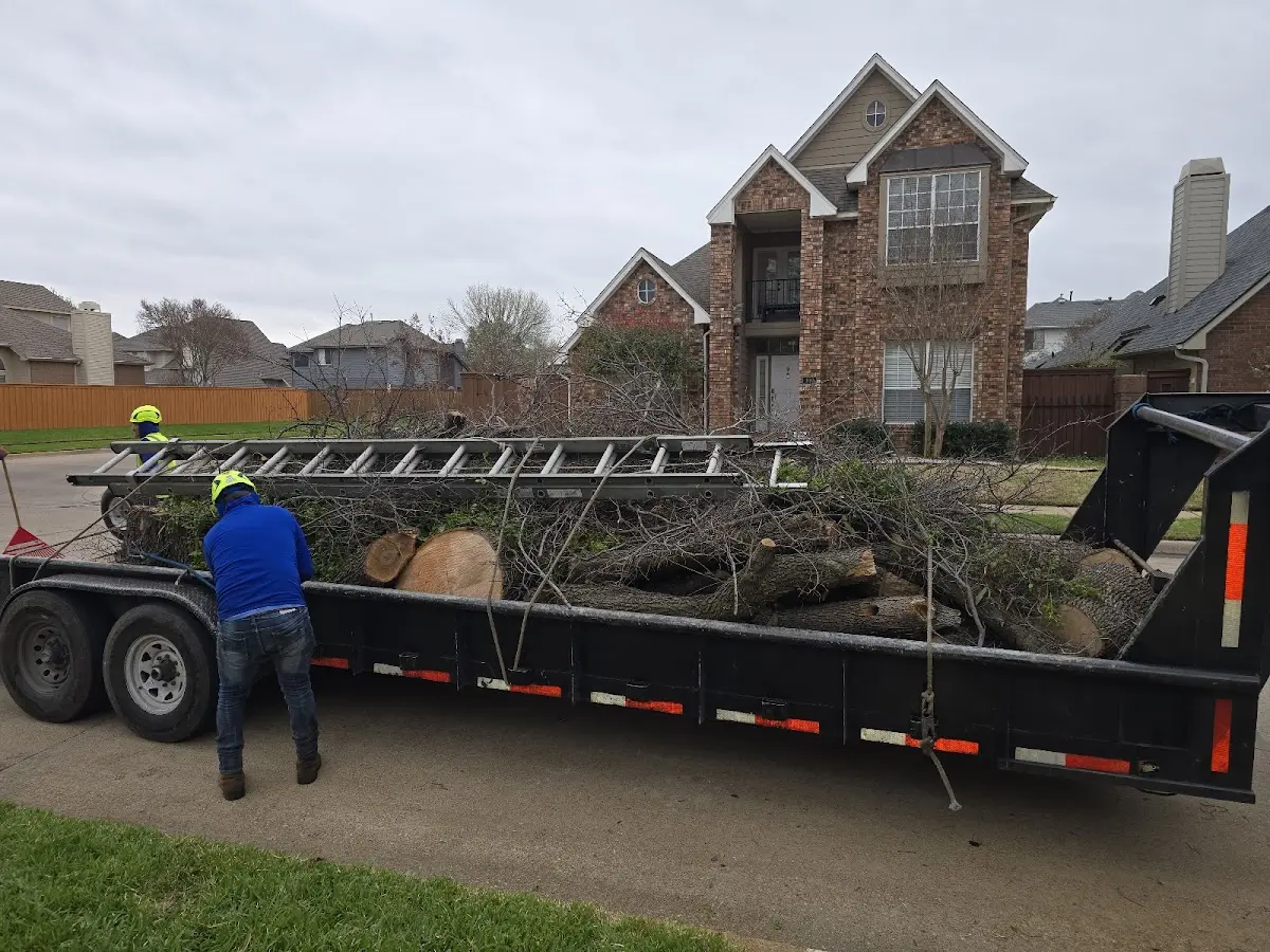 Expert Tree Pest Control with proper safety equipment in Cataula